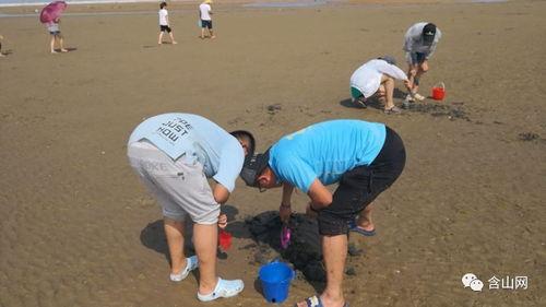 户外赶海爆料视频,揭秘海滩宝藏的户外探险之旅  第3张